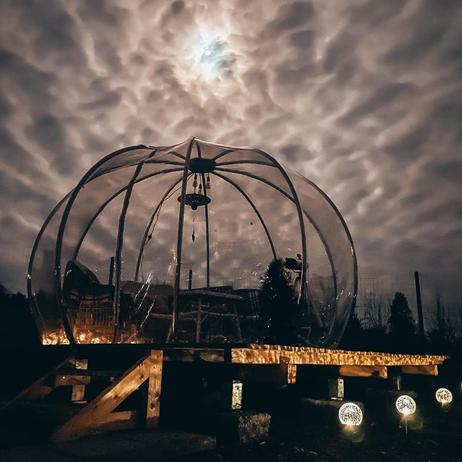 Villa The Wooden Nest -Covasna Esterno foto