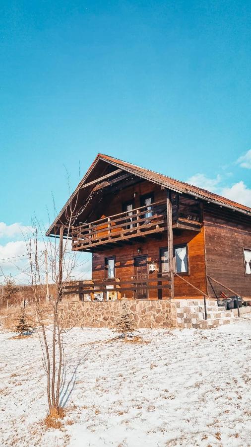 Villa The Wooden Nest -Covasna Esterno foto