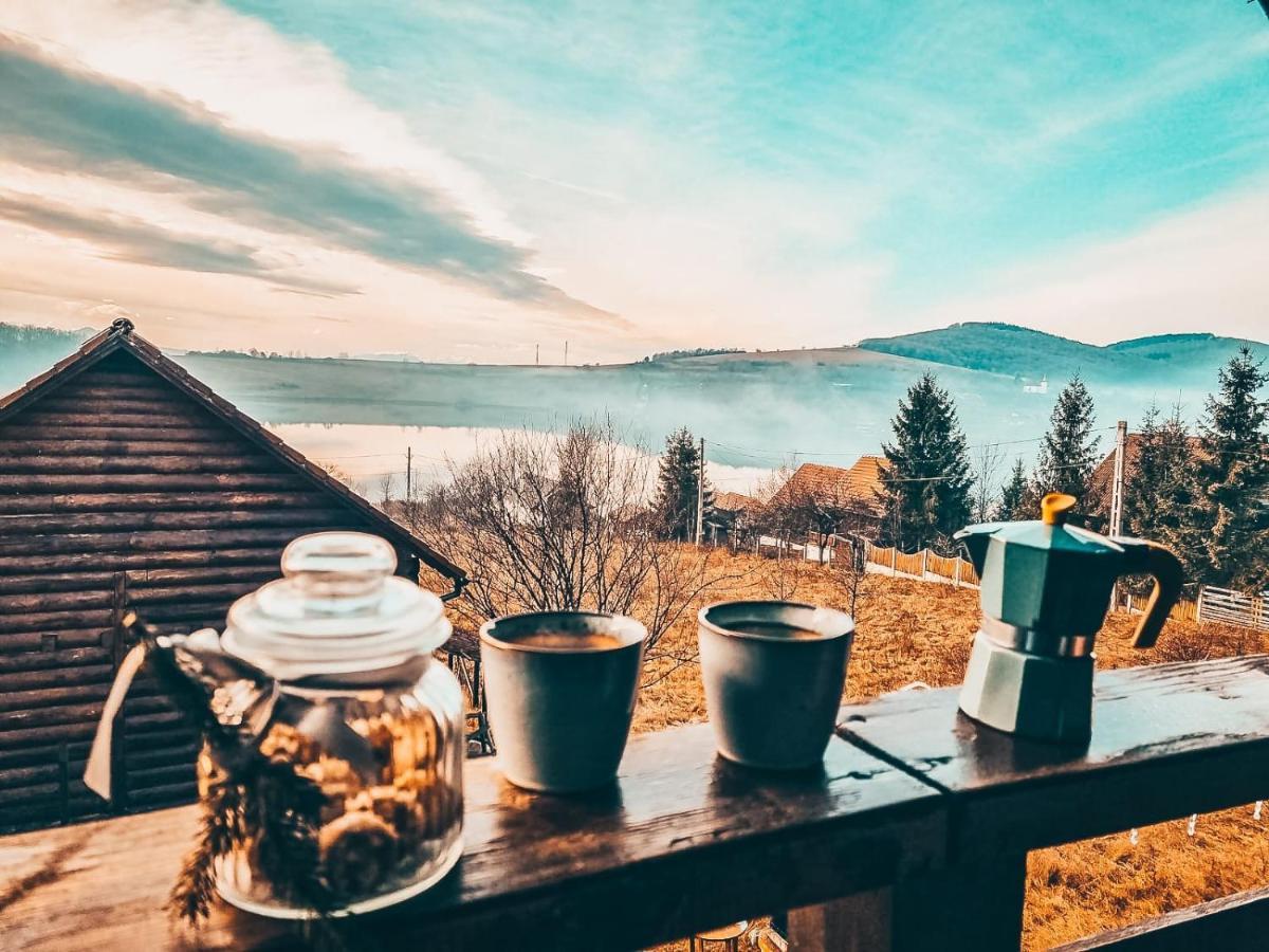 Villa The Wooden Nest -Covasna Esterno foto