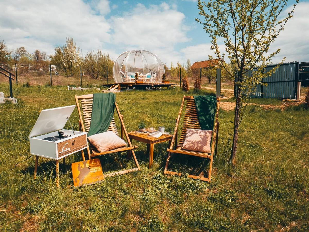 Villa The Wooden Nest -Covasna Esterno foto